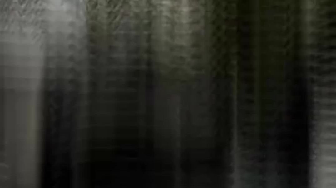 VID_20251104_104047_119