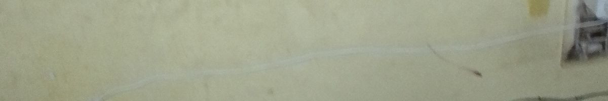 111012636981043145107 