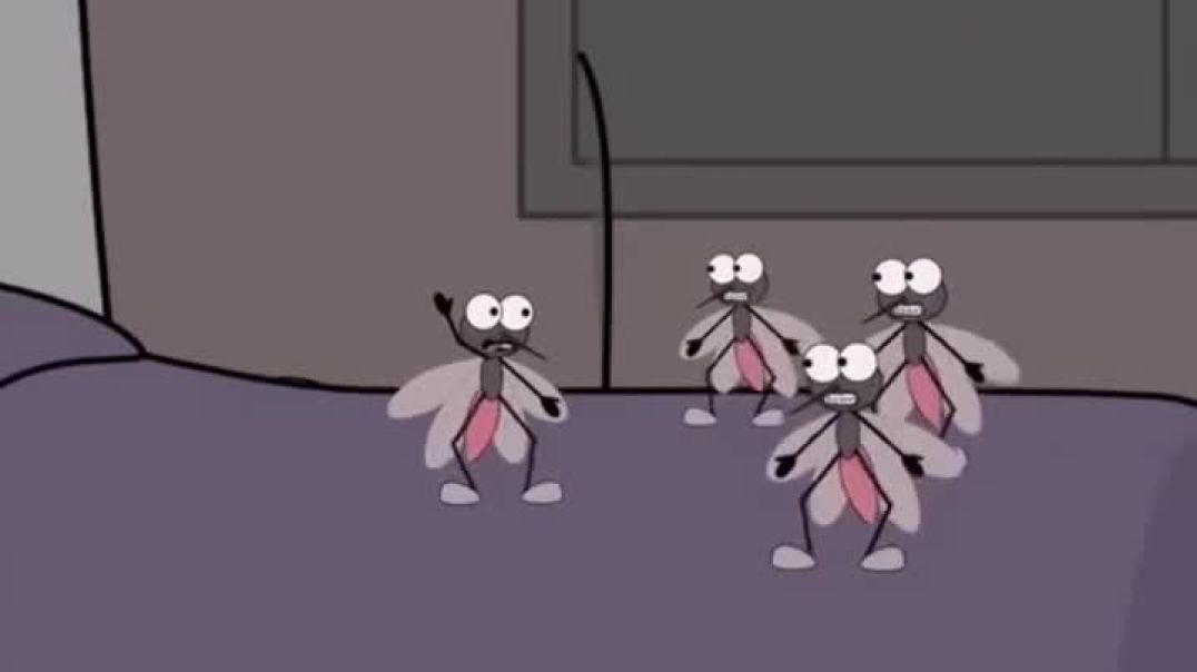 shantna_himalyan_girl_ac981b0a6cf0472c8f060cb7262d80dc