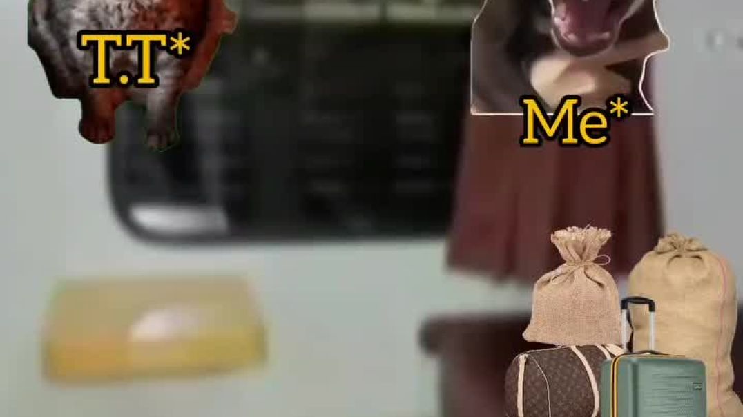 ⁣@its_mahima_ji0008 New Funny Video🥰😘♥️ #funny #trending #memes #cartoon #video #InstaGrowth #GrowOnI