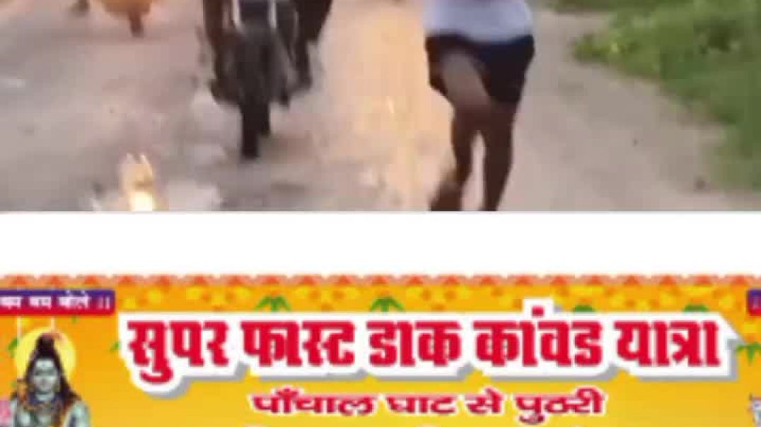 VID_20251206_094634_999