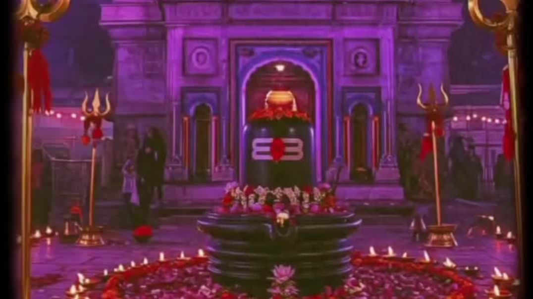 VID_20251212_044723_137