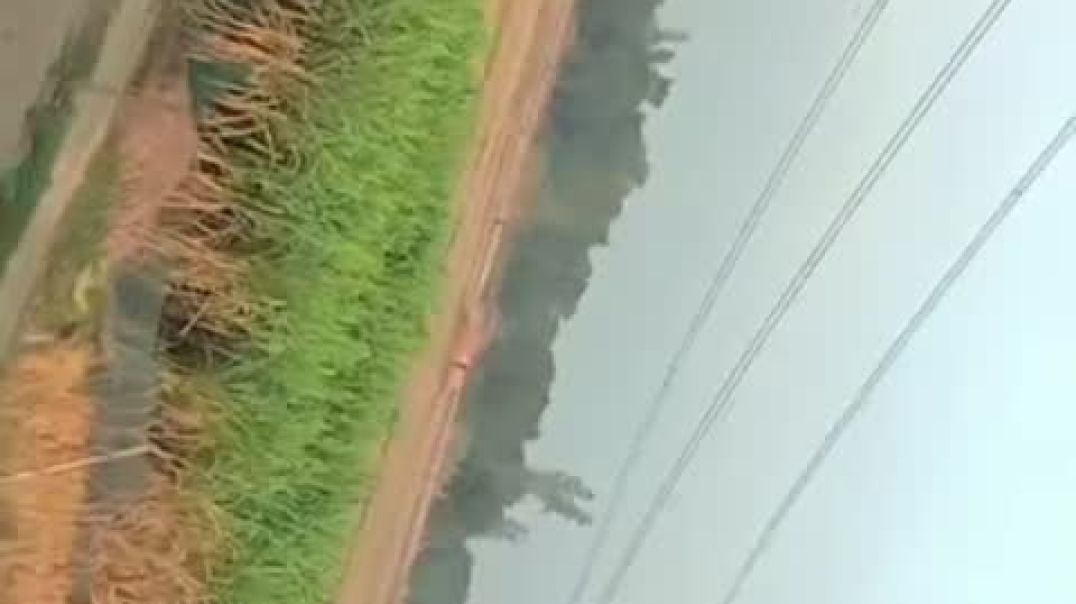 VID_20251114_043740_877