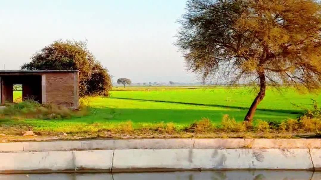 ⁣Deshi kisan lv_0_20251223163812