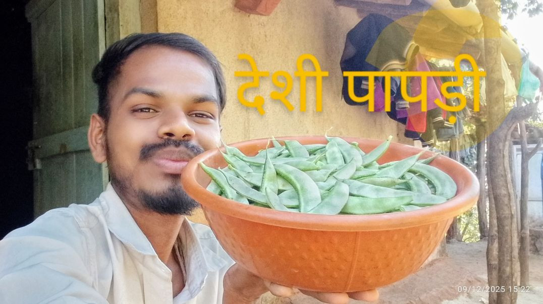 ⁣देशी पापड़ी #viralvideo #tranding