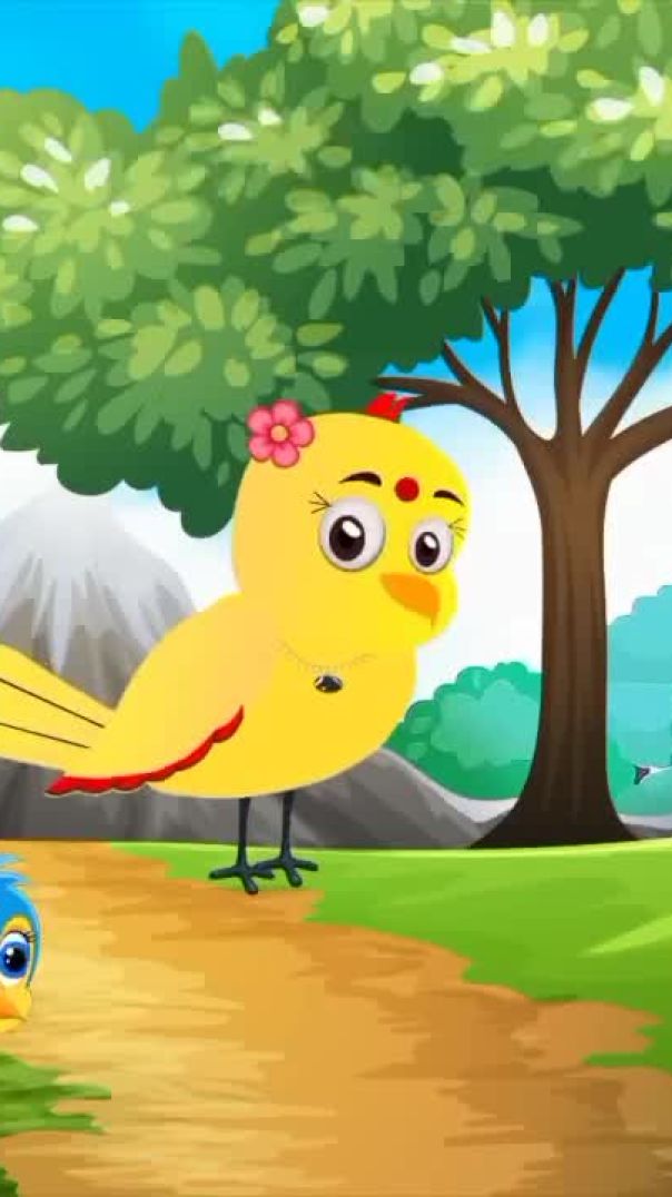 चिड़िया का home 🏠🏡