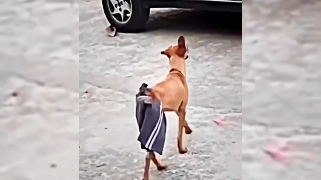 ⁣मेरा बदमाश दोस्त | 😲😂 | #apnatube #comedy #funny