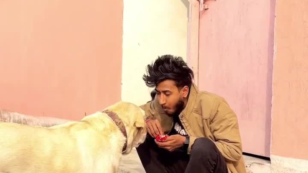 ⁣instagram_1766384415523(720p)