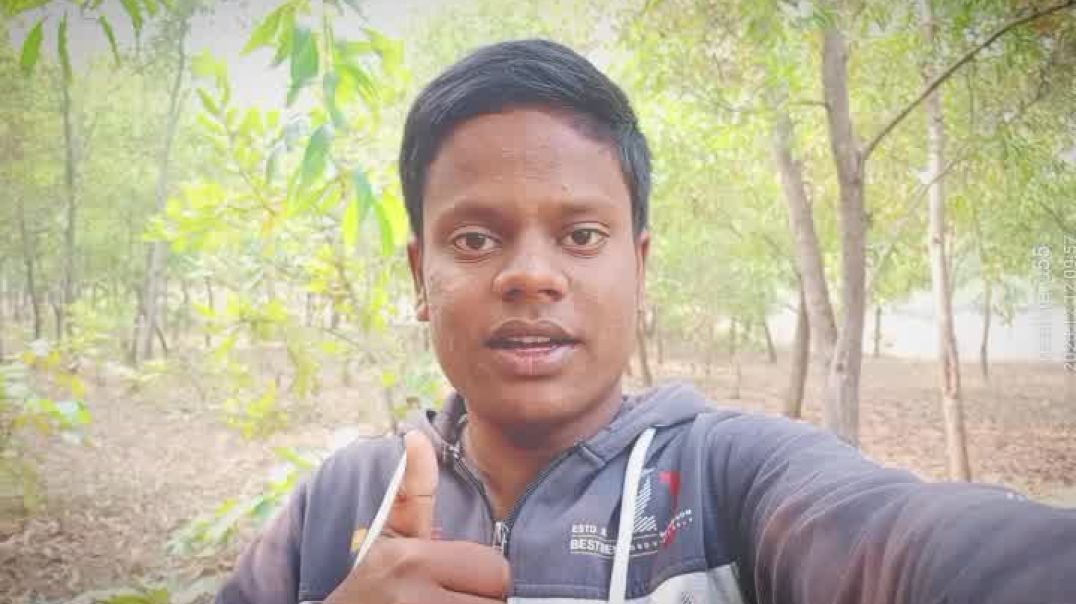 ⁣My New Mini Vlog 🌿🌳