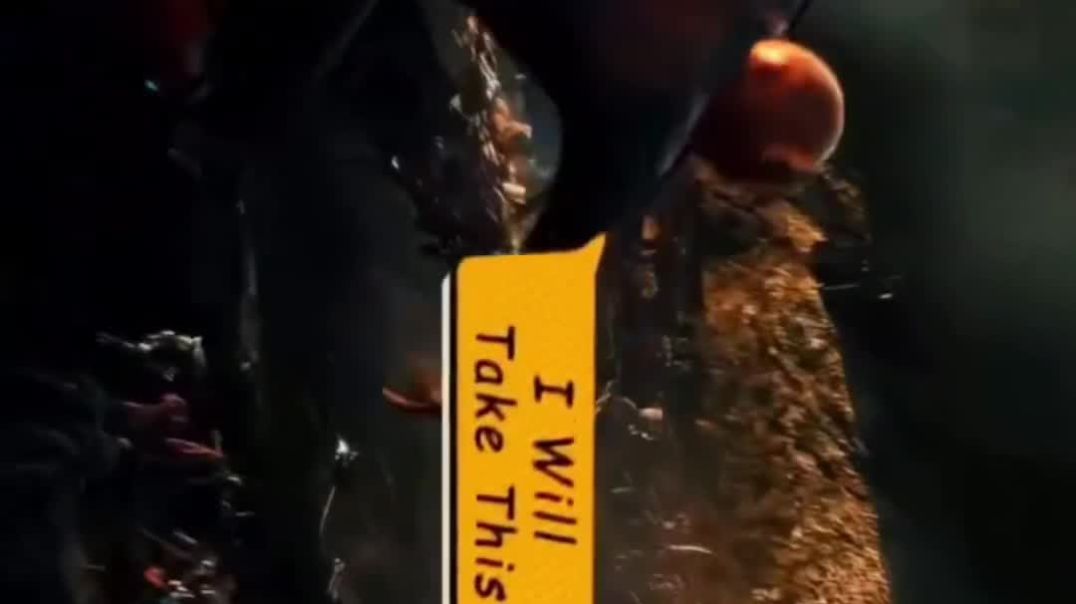 VID_20251211_175031_829