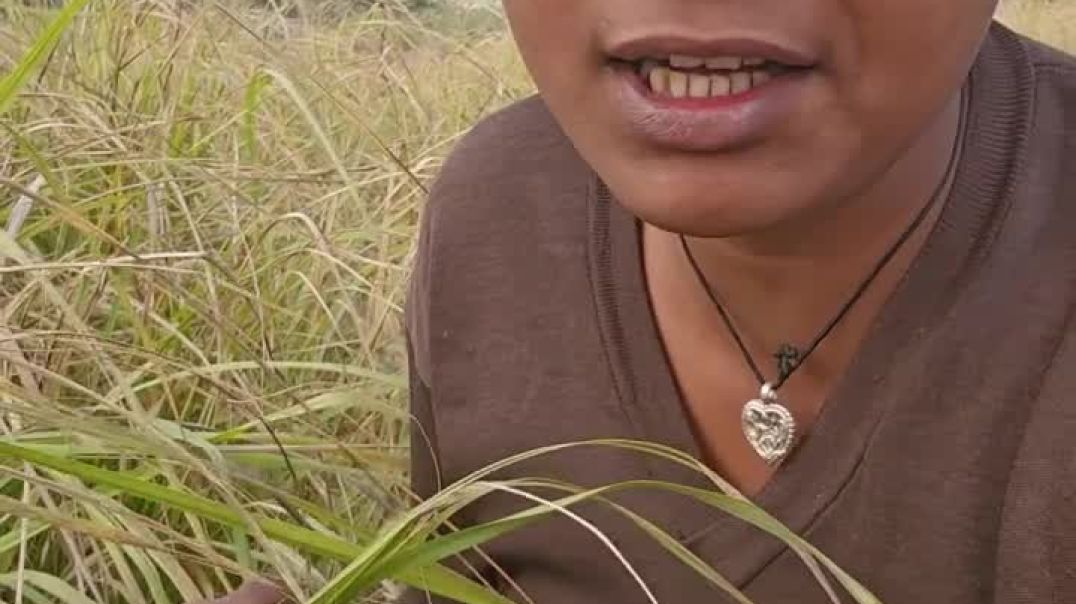 _viralfbreelsfyp _fbreelsfyp _facebookreelsviral _viralreelsfacebook _viralreelschallenge _viralvide