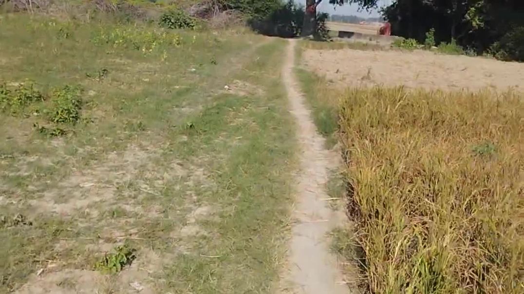 ⁣𝙈𝙮_𝙛𝙞𝙧𝙨𝙩_𝙗𝙡𝙤𝙜__𝙥𝙡𝙚𝙖𝙨𝙚_𝙡𝙞𝙠𝙚👍_#_𝙨𝙪𝙗𝙨𝙘𝙧𝙞𝙗𝙚(720p)