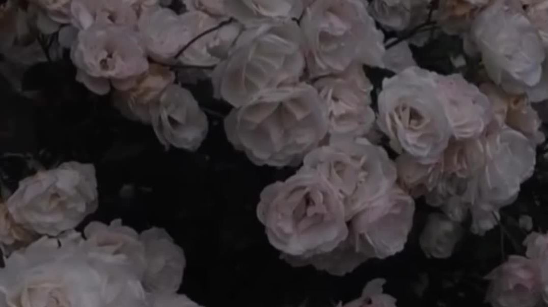 ⁣viral song video old song