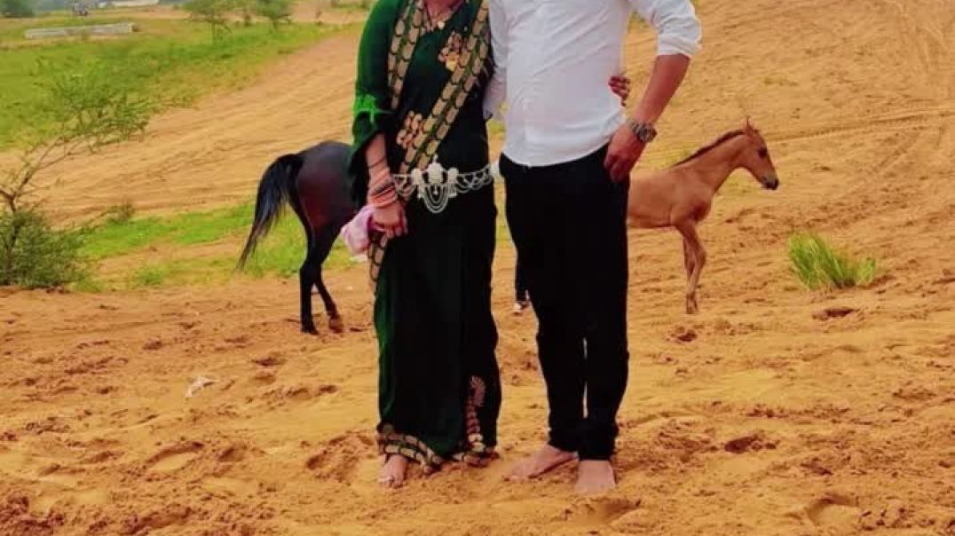 VID_20251121_195000_275