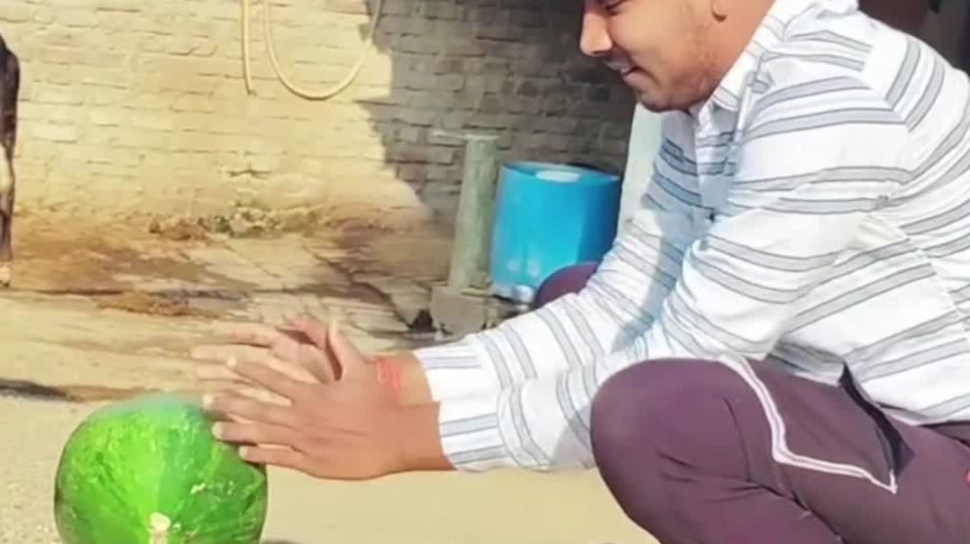 VID_20251124_031948_205