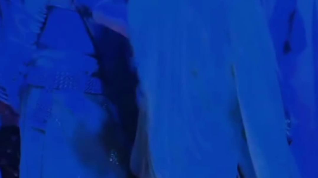 VID_20251209_070844_393