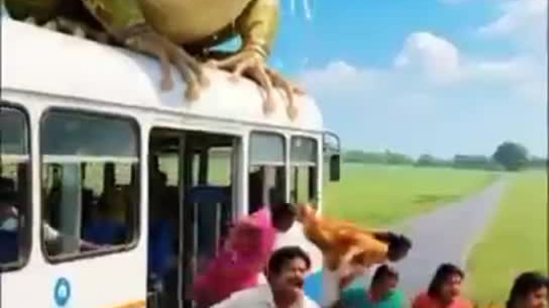 ⁣Indian_lady_soldier_saves_millions_of_bus_passengers_from_giant_frog funny