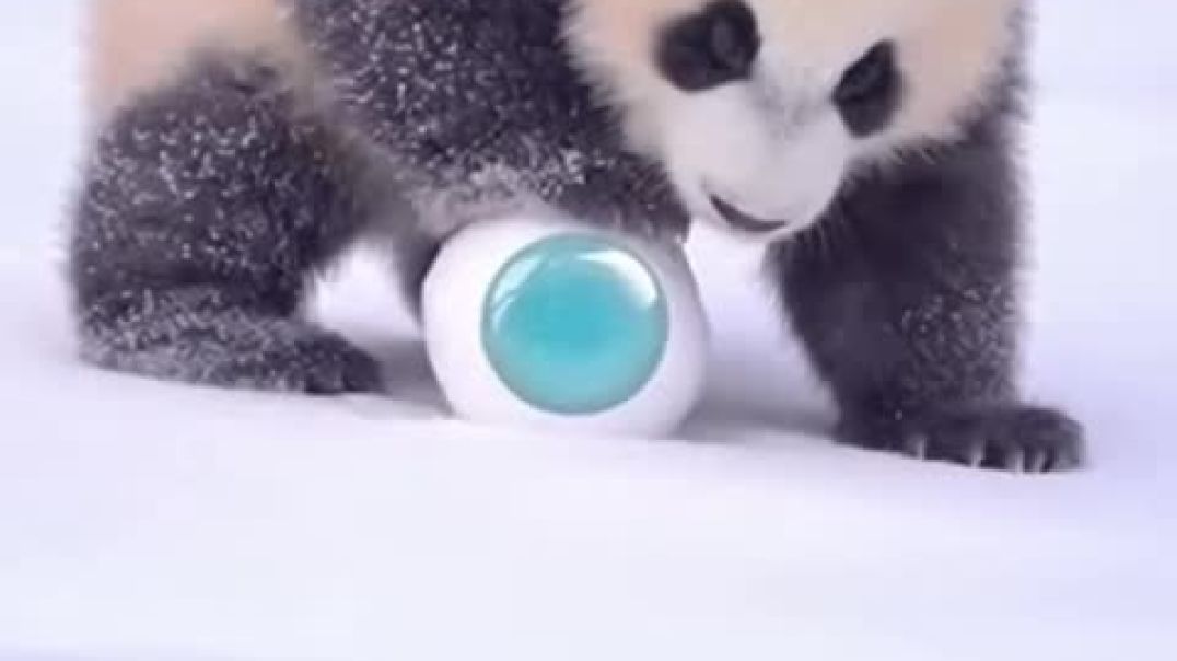 ⁣♡︎100k ❍5ㅤ0k ⎙1ㅤ50k ⌲200k