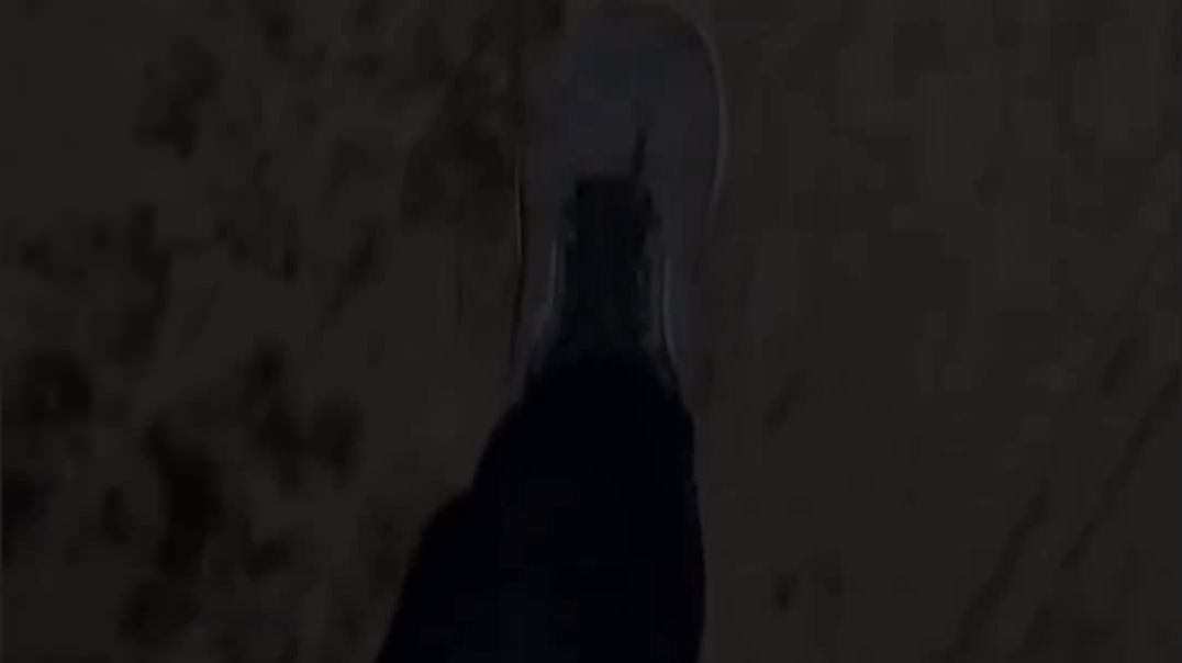 ⁣Running and gym lover 💪