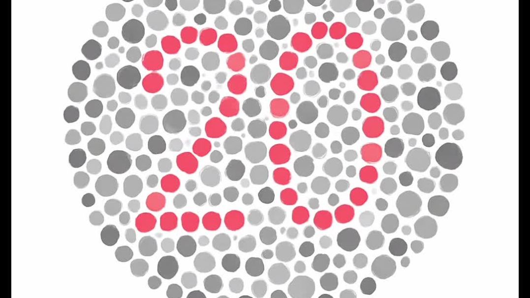 InShot_20251211_073558712