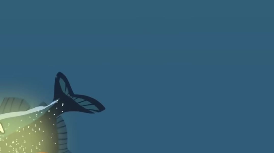 ⁣Fish Eat Fish _ Monster Animation(720P_HD)