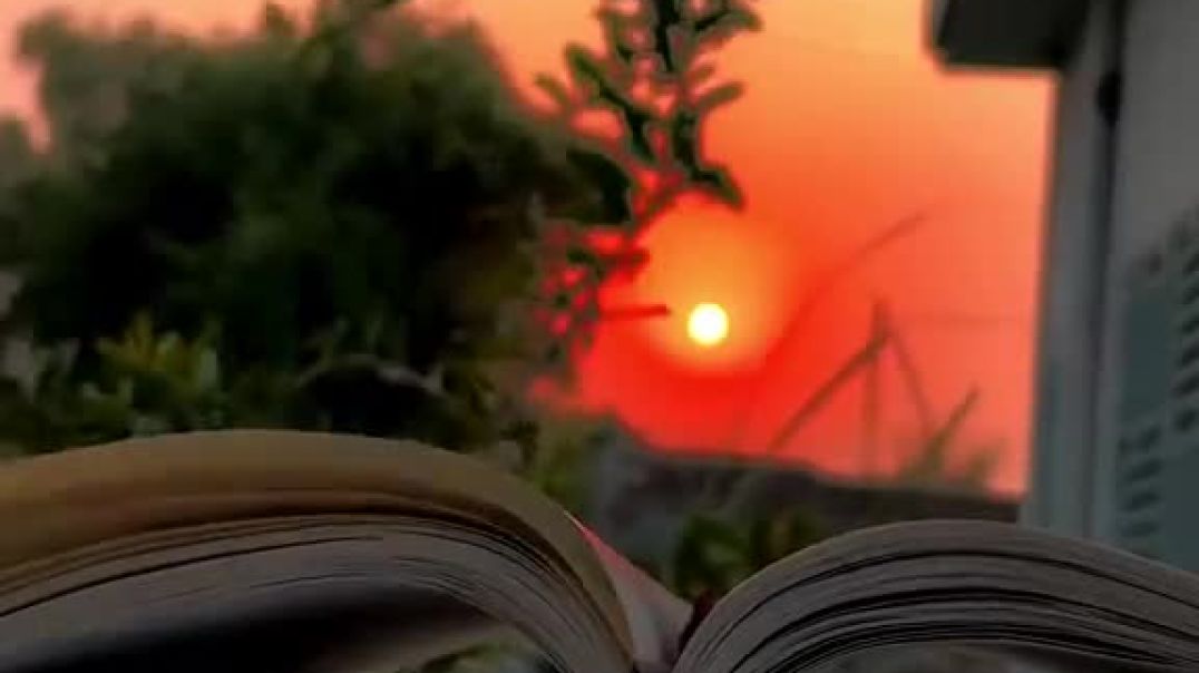 ⁣feel its with life