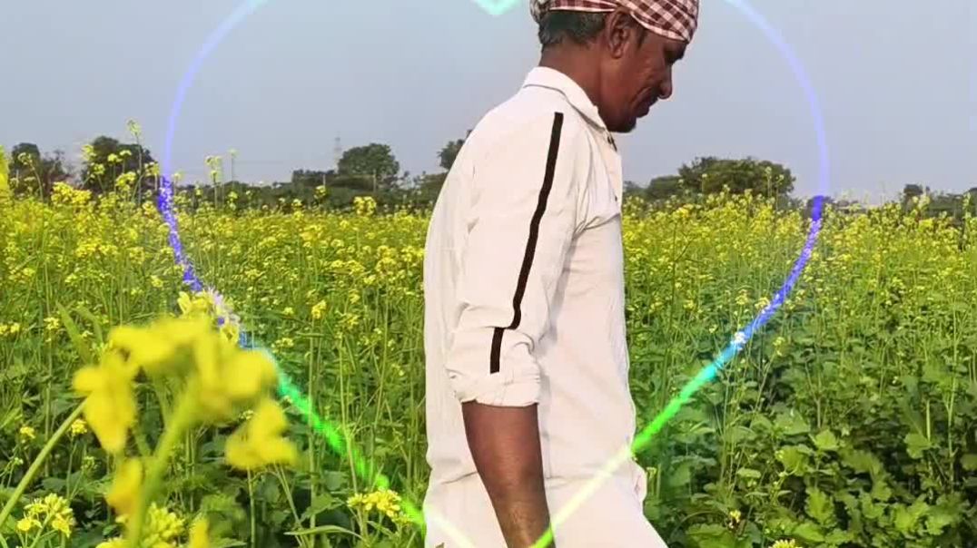 હરીભર રિટર્ન ડાયલોગ