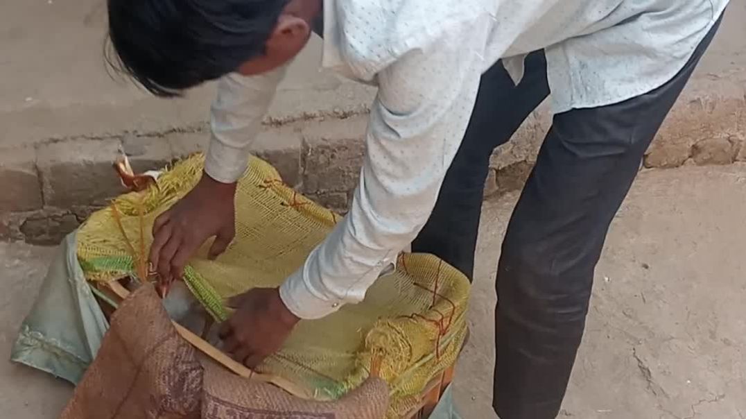 ⁣Raju Bhai ka murga