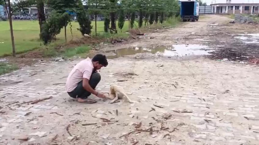 ⁣VID-20251006-WA0063