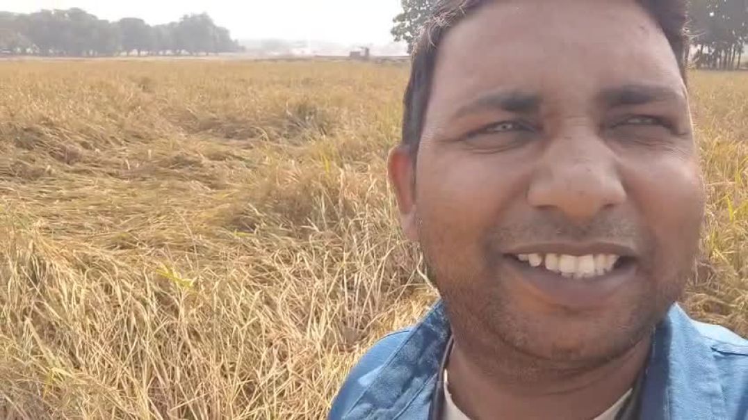 ⁣VID-20251107-WA0003