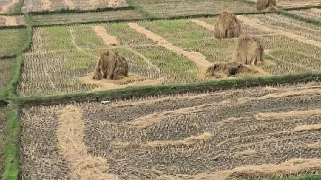 Create_a_realistic_202511131458_pqymw