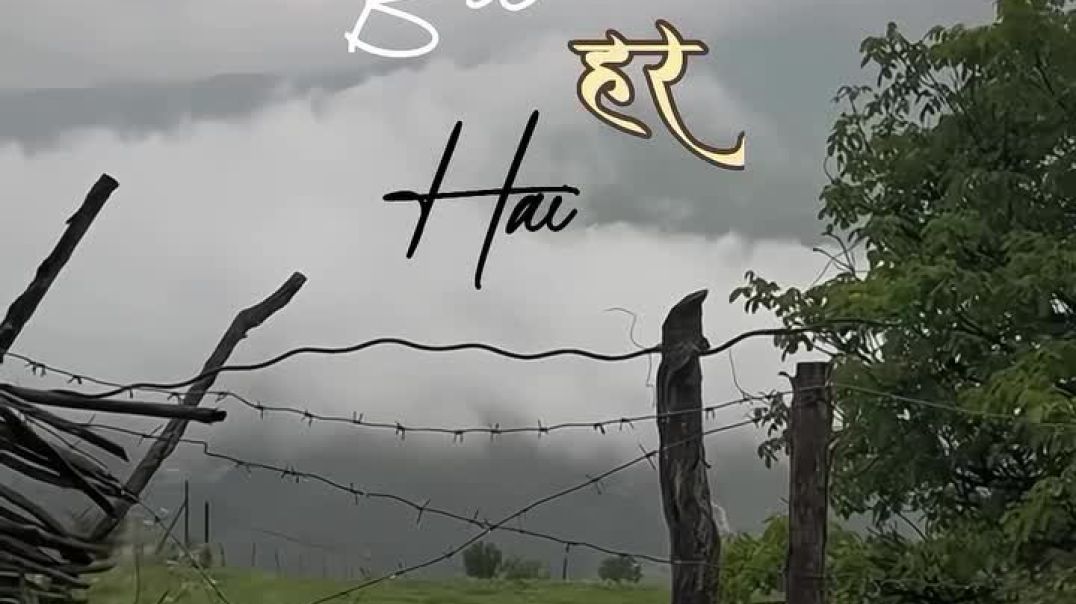 ⁣sweetheart_800-20251207-0001