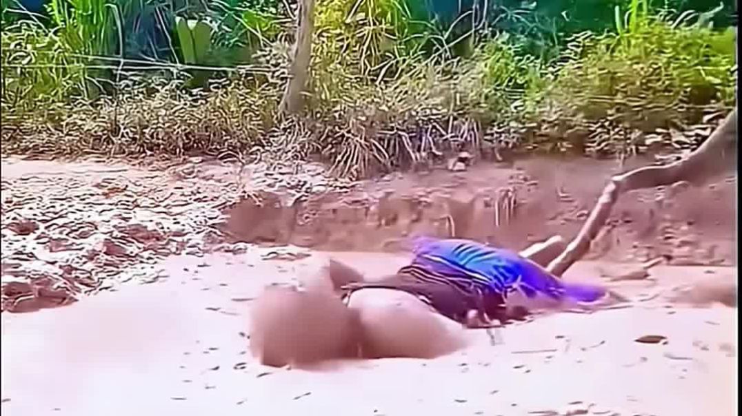 ⁣funny_comedy_🤣_#funny_#comedy(1080p)