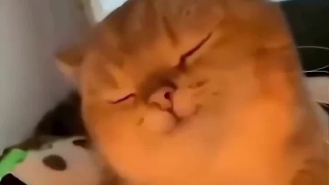 ⁣VID_20251209_184202_724