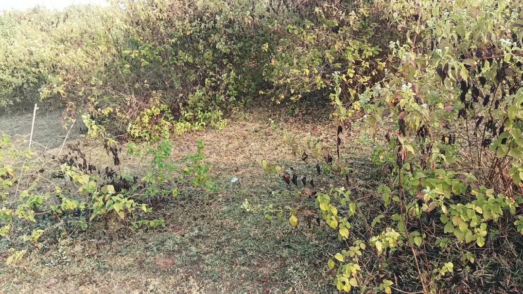 ⁣Atoplay बिना views नही आते 2025