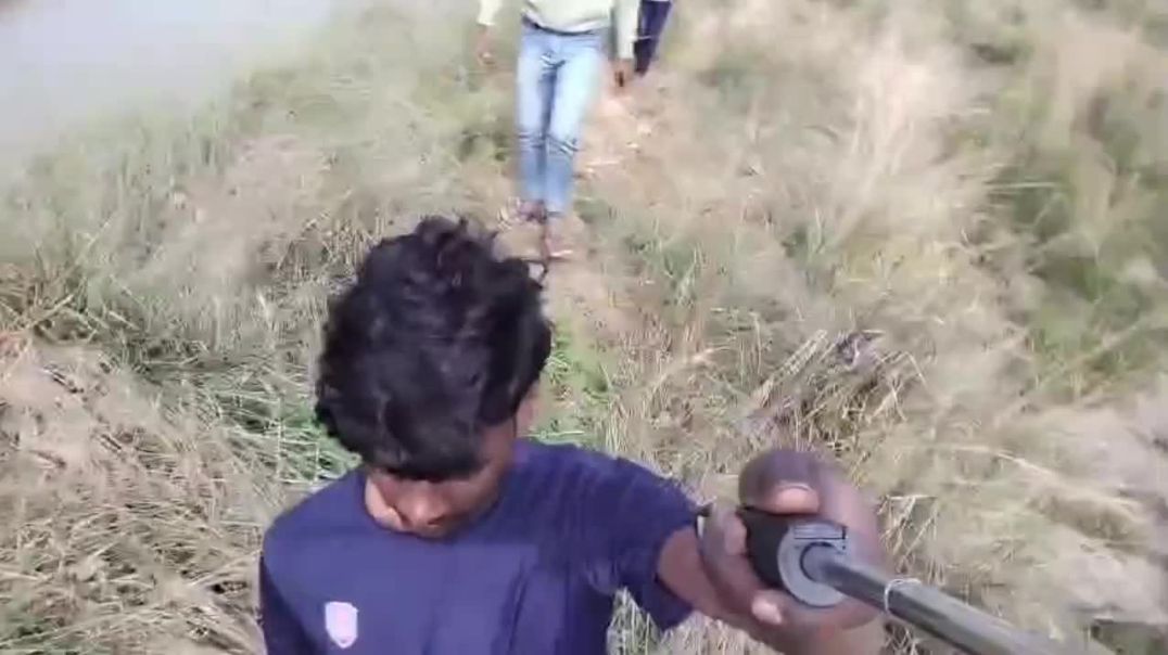 ⁣Daily vlog 🐉🐲