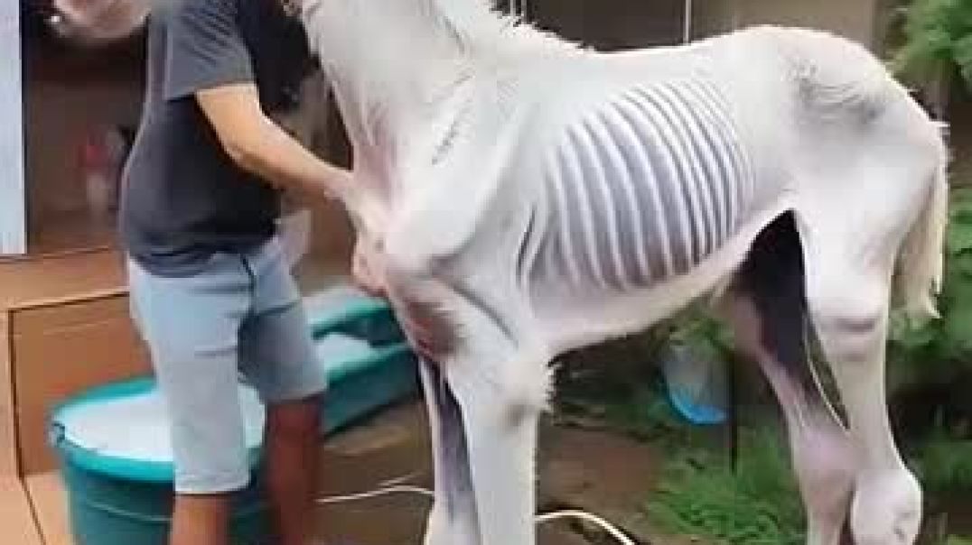 _storage_emulated_0_Android_data_com