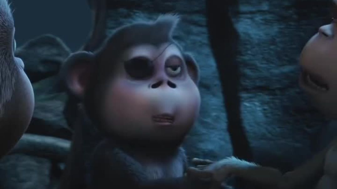 ⁣Monkey 🐒🐒🐒🐒