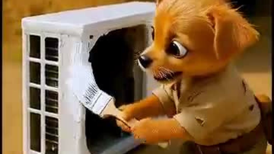 The_poor_puppy_didn_t_have_cash_to_buy_ac_so,_his_rich_friends_making_fun_of_him_#animahal(360p)