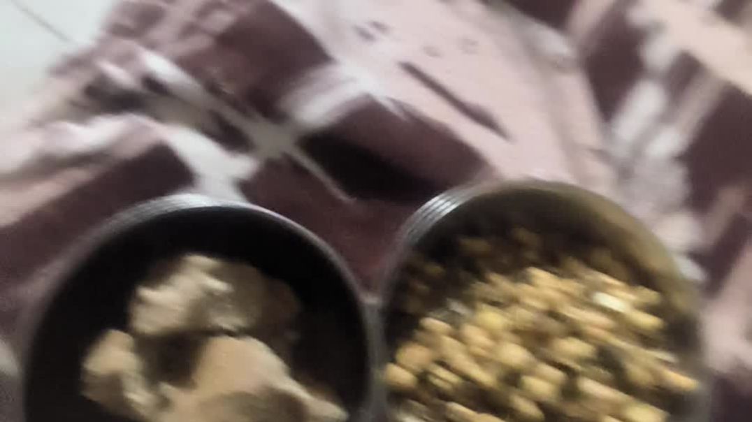 video_20251129_181812