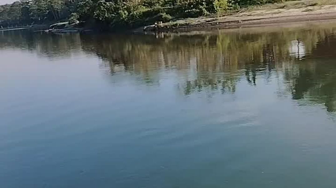 video_20251207_145004