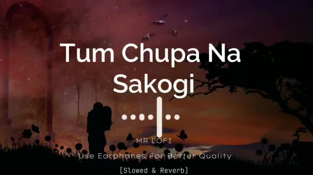 ⁣Tum chupa naa sakogi slowed -revarb song ll Lofi song ll __Anjalimusic chanal ll _Lofisong