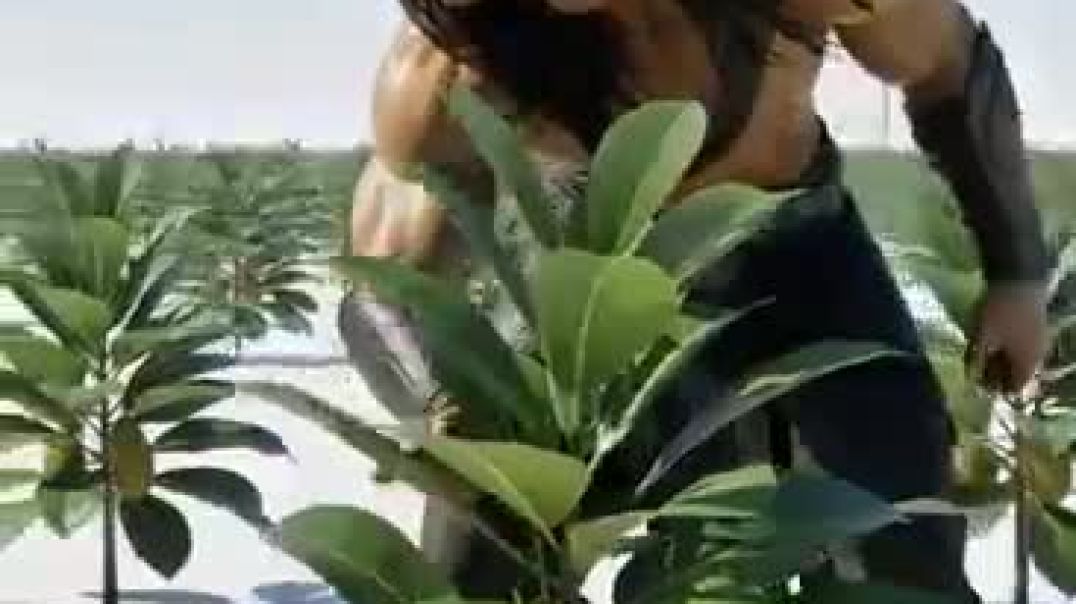 ⁣राम जी ने पौधा लगाया 💐#shorts #ramji