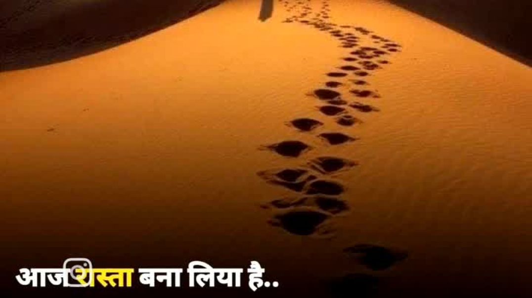 VID_20251204_234445_077