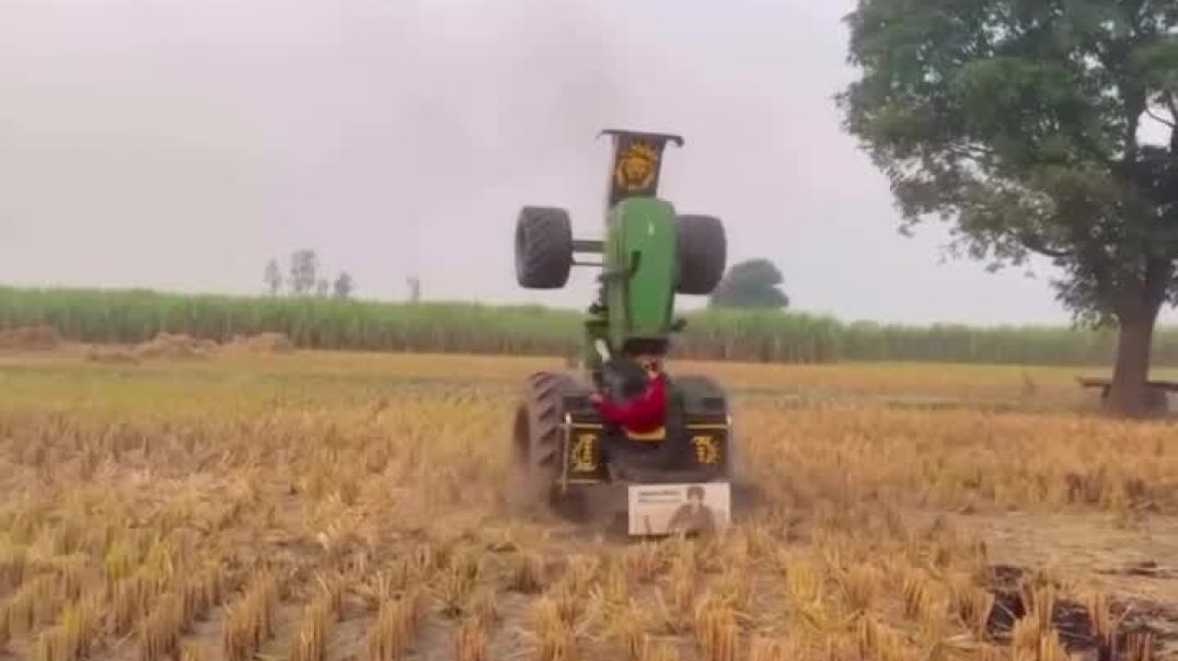 ⁣Chouhan king viral video shorts Chouhan king 🤴 ♥️ 🙌 👏