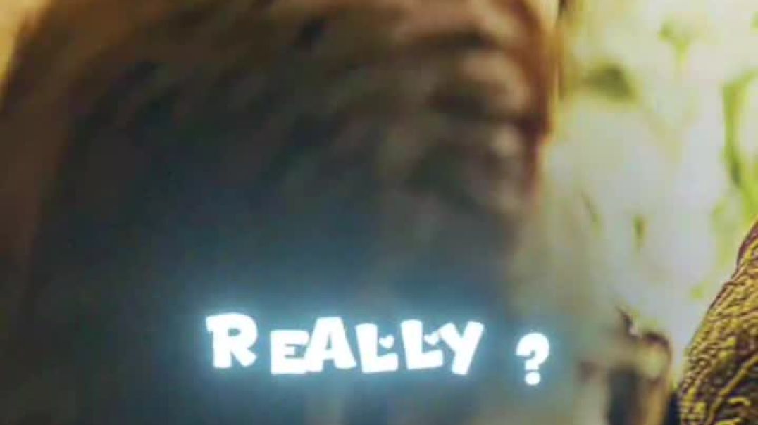 ⁣Who is the best bobby deol and akshay khanna