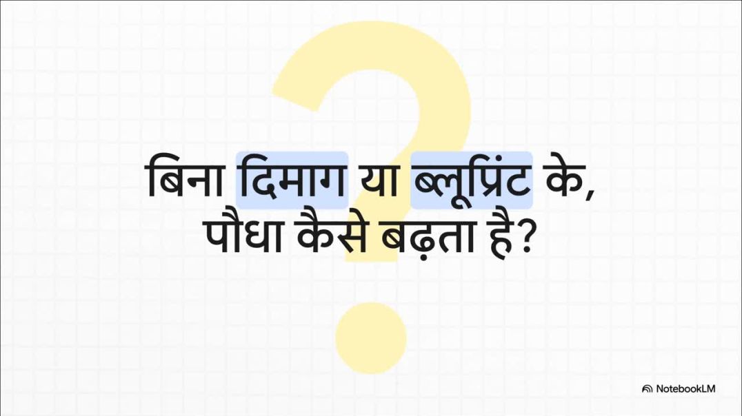 ⁣11th Biology Chapter 13 अनदेखे_वास्तुकार__पौधों_की_वृद्धि