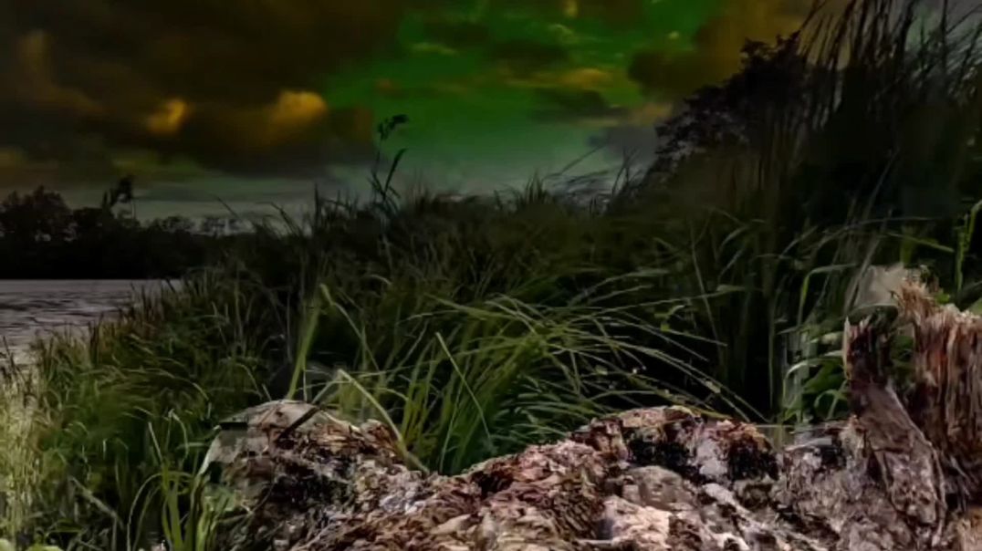 ⁣Hamari galti bus itni si thi