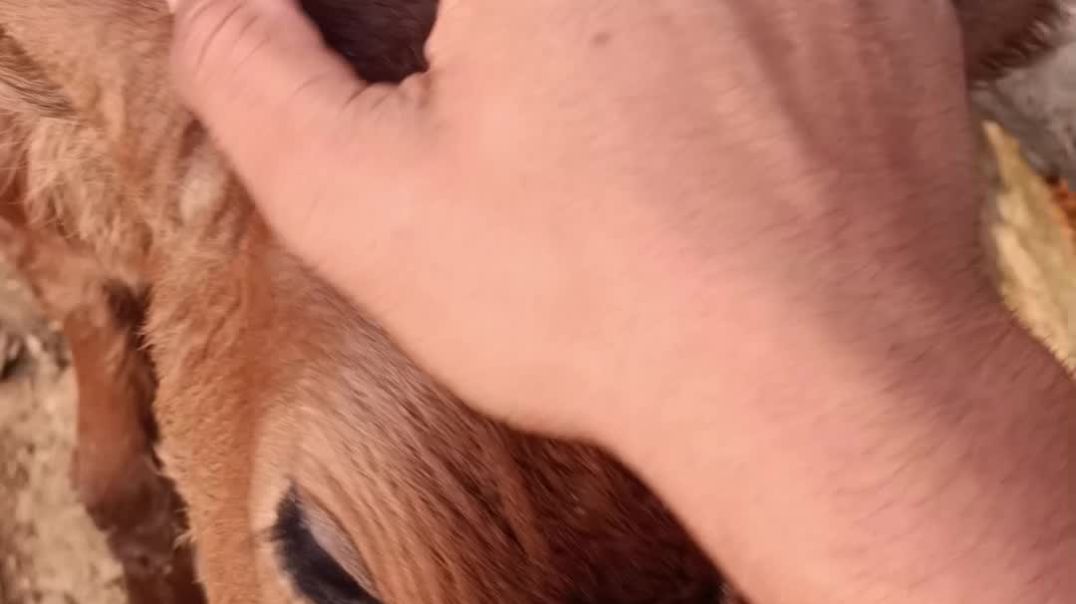 InShot_20251207_151436296