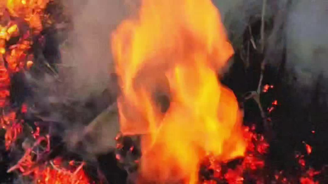 VID_20251123_031130_836